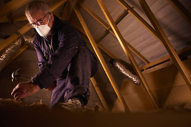 Best Insulation Installation Services in Edgewood, KY